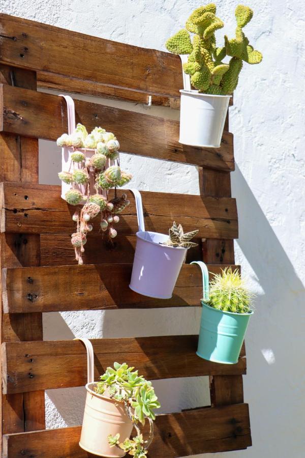 El Patio De Los Naranjos Guadalupe  Kültér fotó