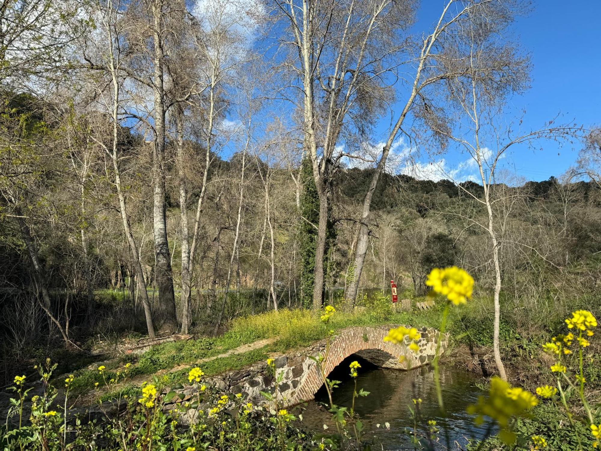 El Patio De Los Naranjos Guadalupe  Kültér fotó
